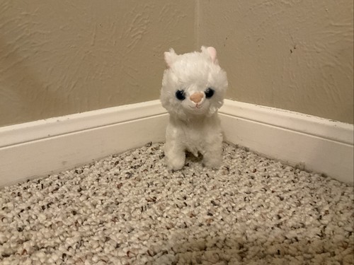 Cute white cat plush that - cute,