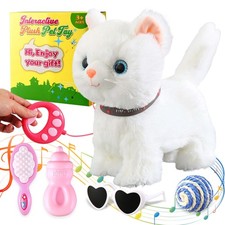 White Leash Walking Cat Set