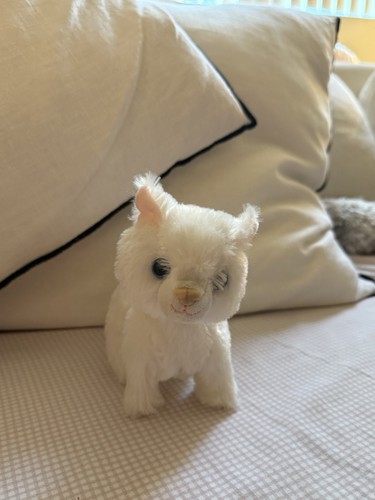 Walking meowing toy cat - toy, good
