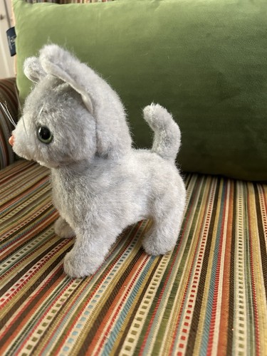 Interactive kitten that - interactive, barks
